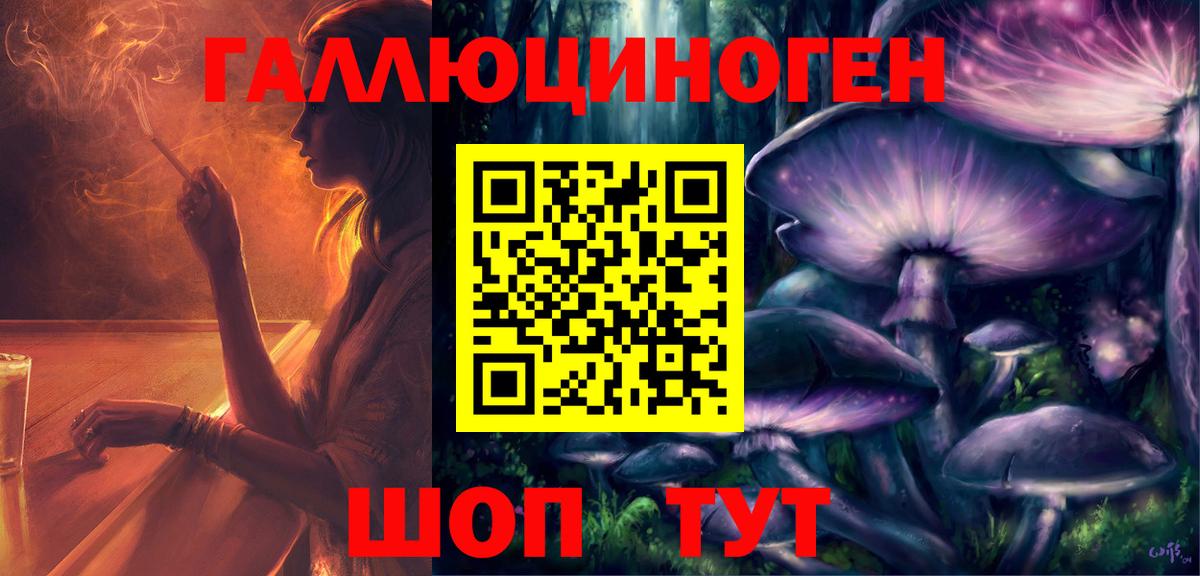 Тайшет  где купить наркоту  Вход с VPN  Галлюциногенные грибы Psilocybe 